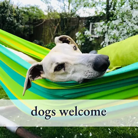 Parterre Lounge Mit Terrasse -naehe Karlsruhe & Kit - Ohne Treppen -barrierefreie Dusche Linkenheim-Hochstetten